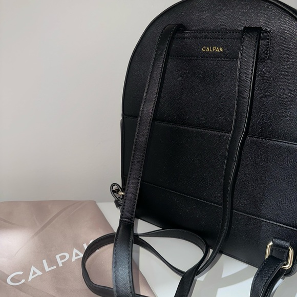 CalPak Large Backpack - Picture 3 of 6